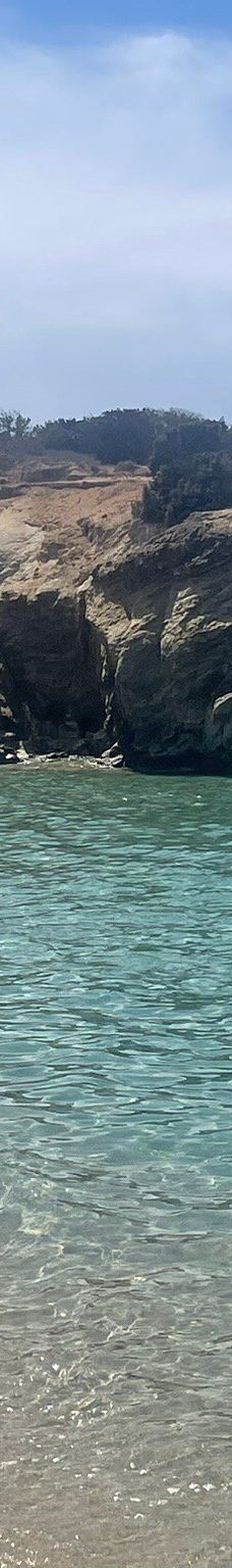 Cedar Forest of Alyko-纳克索斯