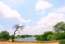 Gajner Lake景点图片