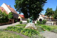 Botaniska Tradgarden景点图片