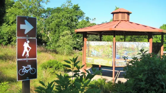 Ferndale Preserve