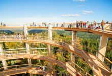 Treetop Walk Black Forest景点图片