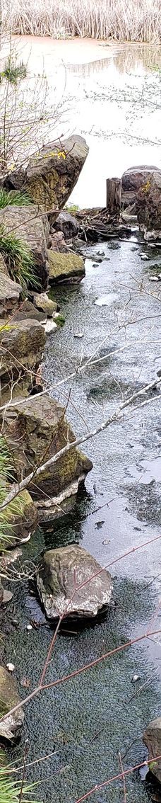 Talking Water Gardens-奥尔巴尼