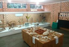 Natural History Museum of Alta Floresta景点图片