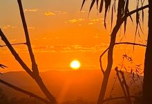 Horizons Kangaroo Sanctuary景点图片