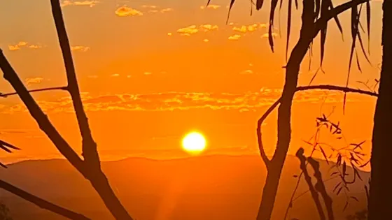 Horizons Kangaroo Sanctuary