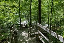 Gorge Metro Park景点图片