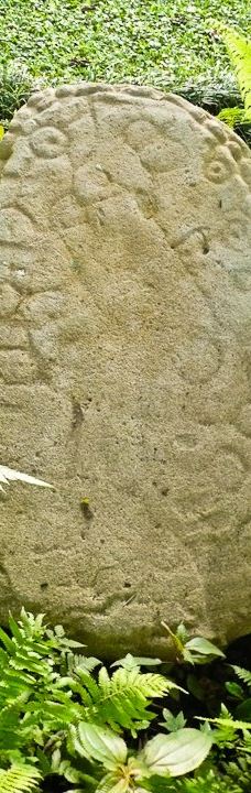 Finca Cantaros-圣维托