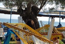 Cicekli Bahce Beach Garden景点图片