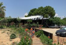 Petrochori beach景点图片