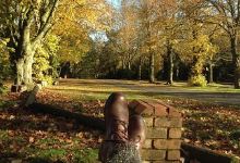 Cannock Chase Forest景点图片