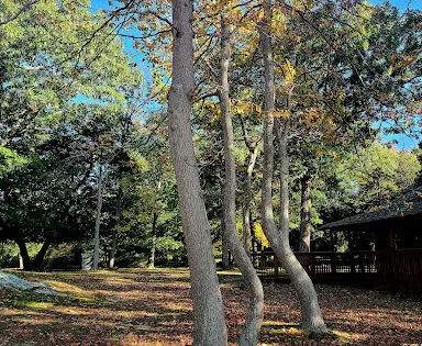 Dighton Rock State Park