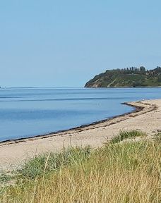 Sophiæodde-米泽尔法特