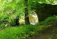 Bredagh River Trail景点图片