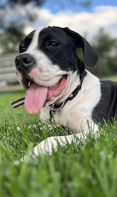 Glendale Park-尤宁