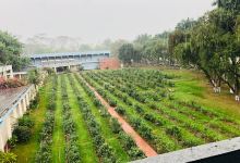 বিপিএটিসি গোলাপ বাগান (BPATC Rose Garden)景点图片