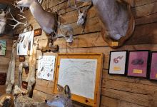 Wildlife Heritage Center Museum景点图片