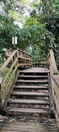 Sendero eco turístico de Tutunendo-图图嫩多