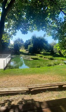 Szent Jakab forrás-瓦索伊