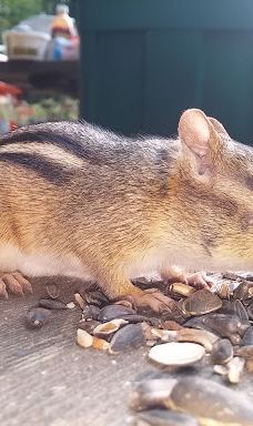 Mikisew Provincial Park-Machar