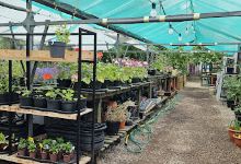 Lakeview Garden Centre购物图片