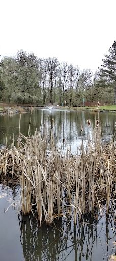 Bruce Starker Arts Park And Natural Area-科瓦利斯