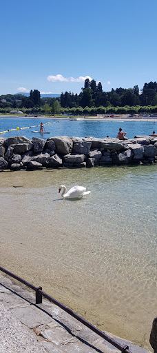 宝贝沙滩-日内瓦