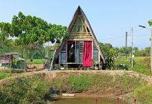 VEA ECO FARM景点图片