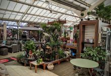 Blue Diamond Chenies Garden Centre购物图片