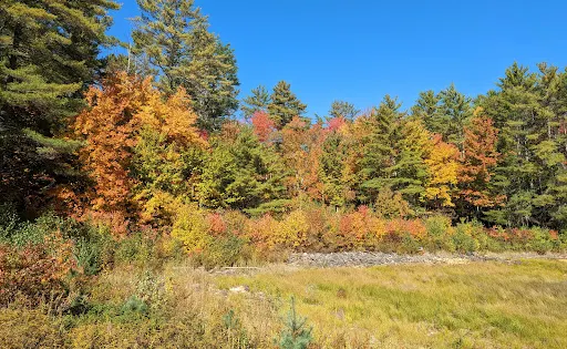 Northwood Meadows State Park