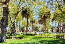 Plaza De Armas De Peralillo景点图片