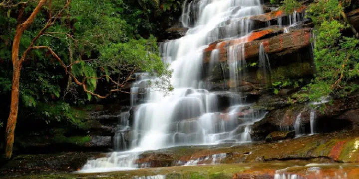 Brisbane Water National Park