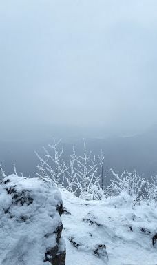 Hangender Stein-佐勒纳尔布县