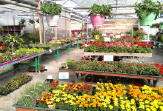 FRIMONT HORTICULTURE购物图片