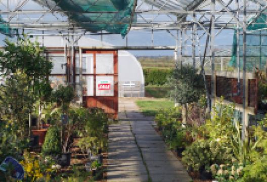 Windmill View Plant Centre购物图片