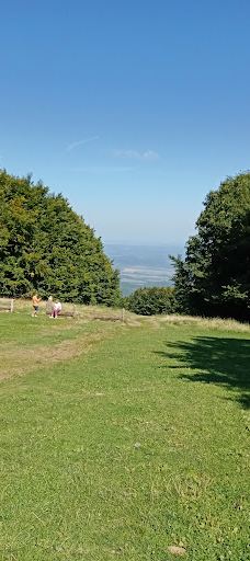 TV and observation tower-珍珠河