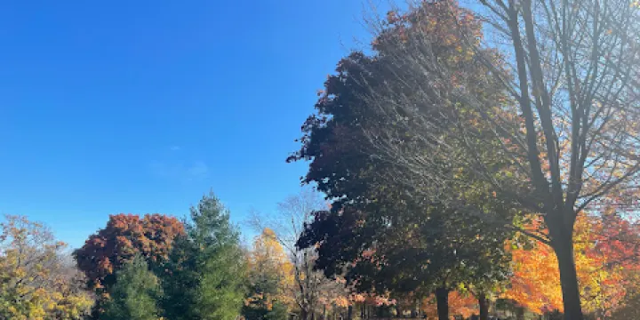 士嘉寶歷史博物館