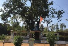 Hanuman ji temple景点图片