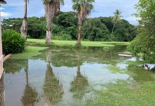 Boardwalk, Tobago Plantations景点图片