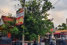 Melsiripura Bodhiya景点图片