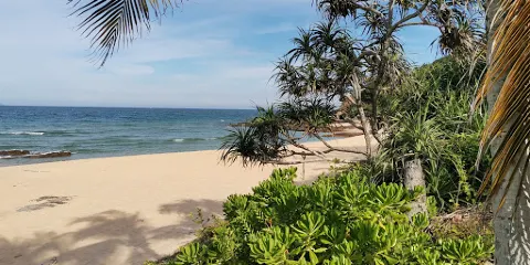 Pantai Teluk Bidara