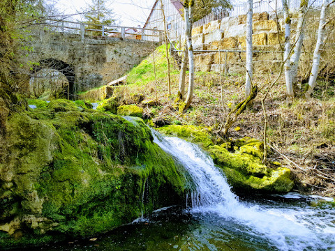 Crazy Animal Ranch餐厅图片