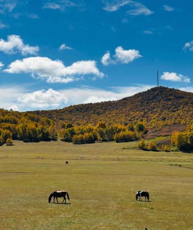4D3N • China + Inner Mongolia + Chifeng + Ulan Butung Grasslands