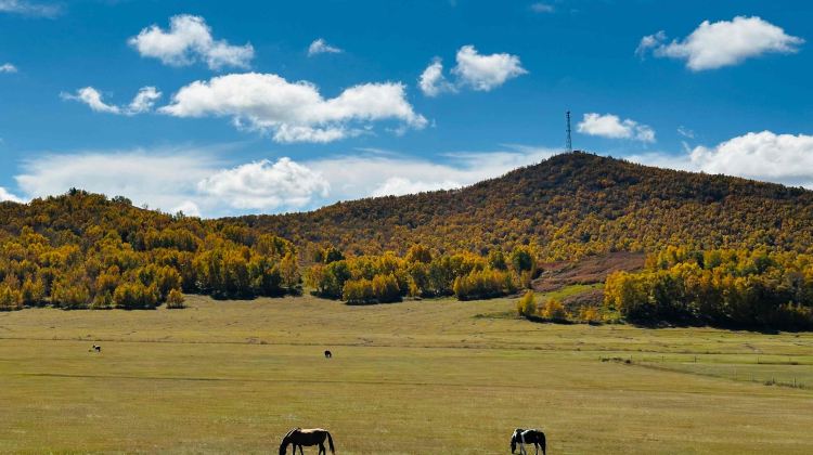 4-day 3-night · Private Tour · China + Inner Mongolia + Chifeng + Wulanbutong Steppe Tourist Area