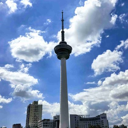 南通+南通市濠河景区+南通森林野生动物园+南通狼山风景名胜区3日2晚私家团