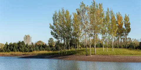 西洞庭湖濕地生態旅遊風景區