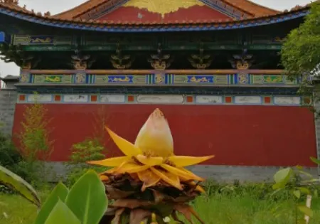 金山寺