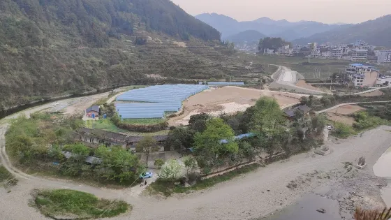 巴拉河