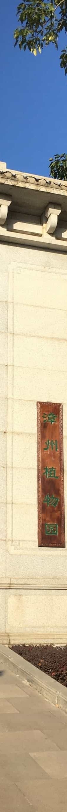 漳州植物园-漳州