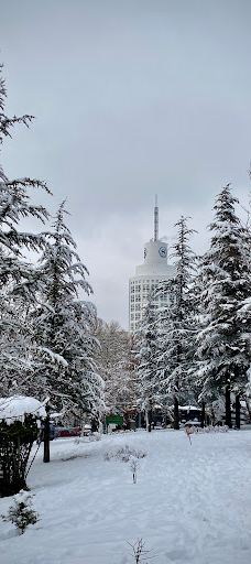 塞格门勒公园-安卡拉