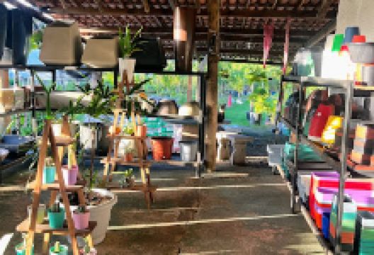 Jardim Beijo Na Flor购物图片